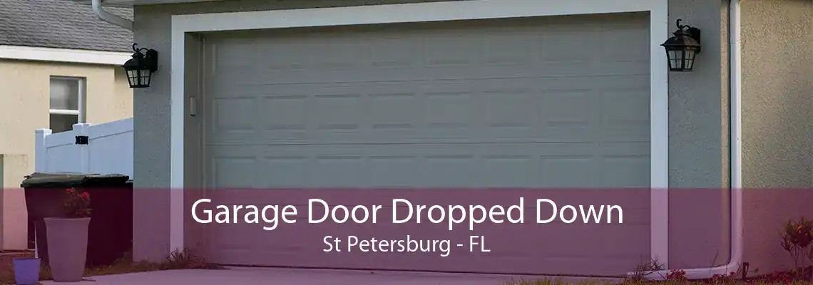 Garage Door Dropped Down St Petersburg - FL