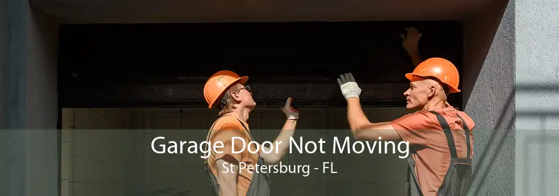 Garage Door Not Moving St Petersburg - FL