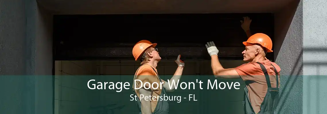 Garage Door Won't Move St Petersburg - FL